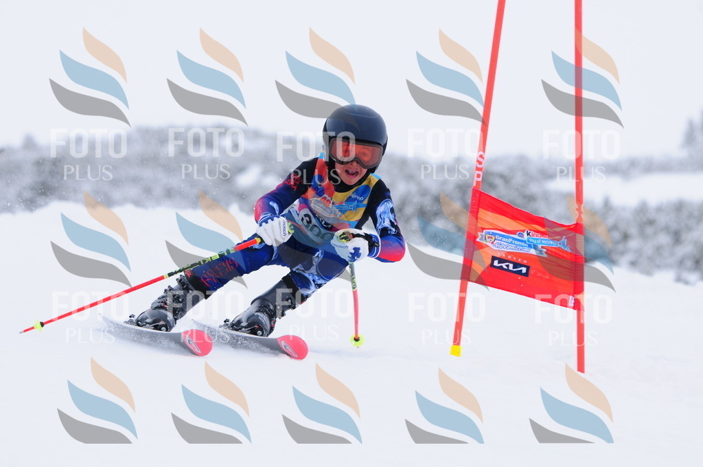 C3177 | holidayphoto