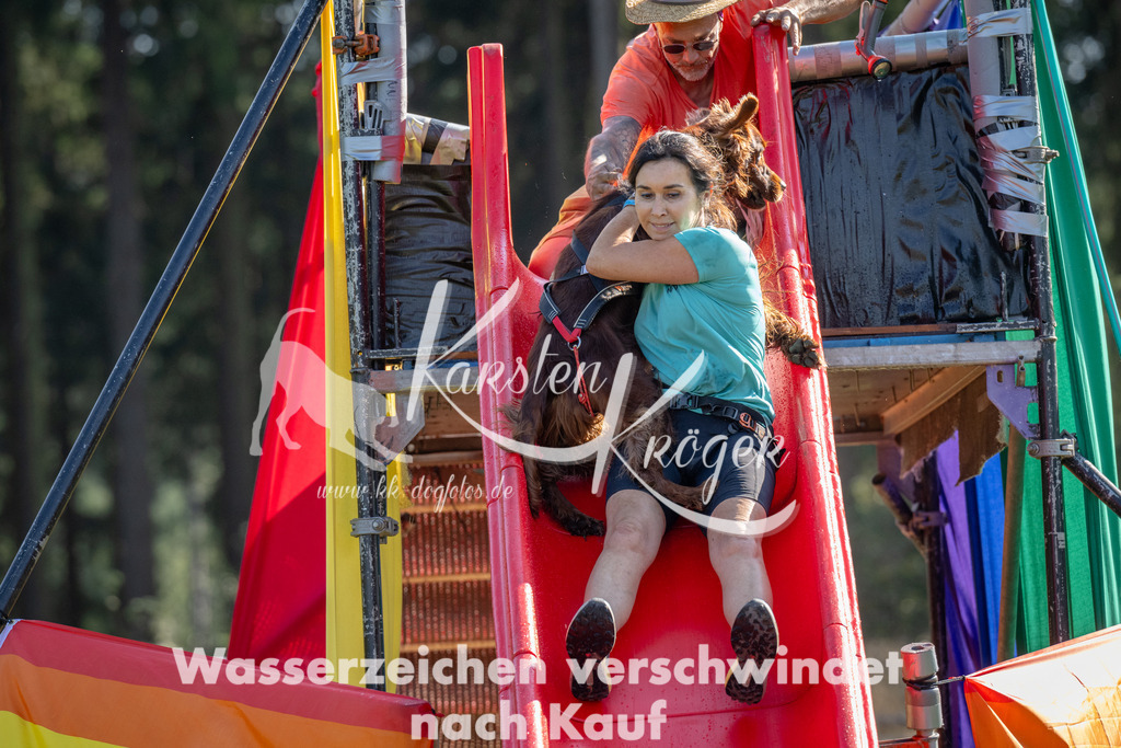 1601_ZZ91966 | kk-dogfotos