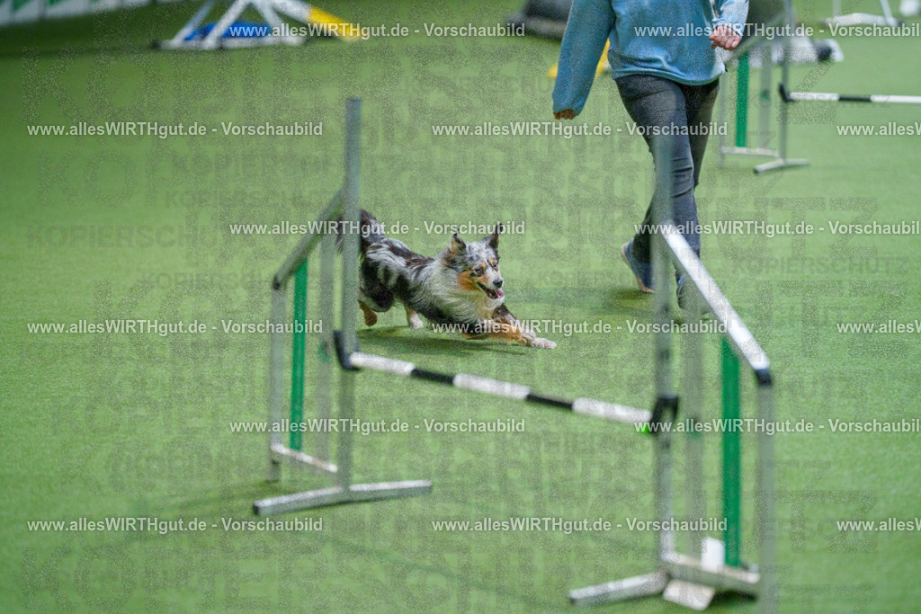 @allesWIRTHgut_Tierfotografie - www.allesWIRTHgut.de - 2604250842-7R507506 | Professionelle Tierfotografie in Mönchengladbach von Daniel Wirth (allesWIRTHgut). Liebevolle & natürliche Bilder von Hunden & Katzen für unvergessliche Erinnerungen.