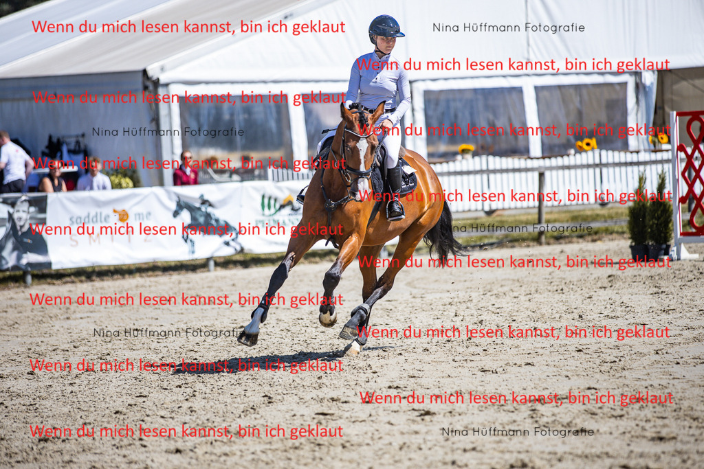 BK1A5319 | Turnierbilder Turnierfotos Nina Hüffmann Turnierfotografie Pferdefotografie Tierzeichnung Haustierzeichnung Pferdezeichnung Hundezeichnung Videograf  - Realisiert mit Pictrs.com