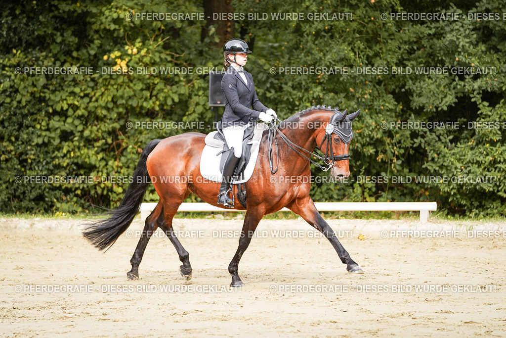 DSC01880 | Pferdegrafie