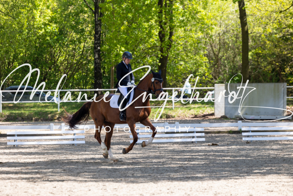7I8A4657 | melanie-engelhardt-photography - Realisiert mit Pictrs.com