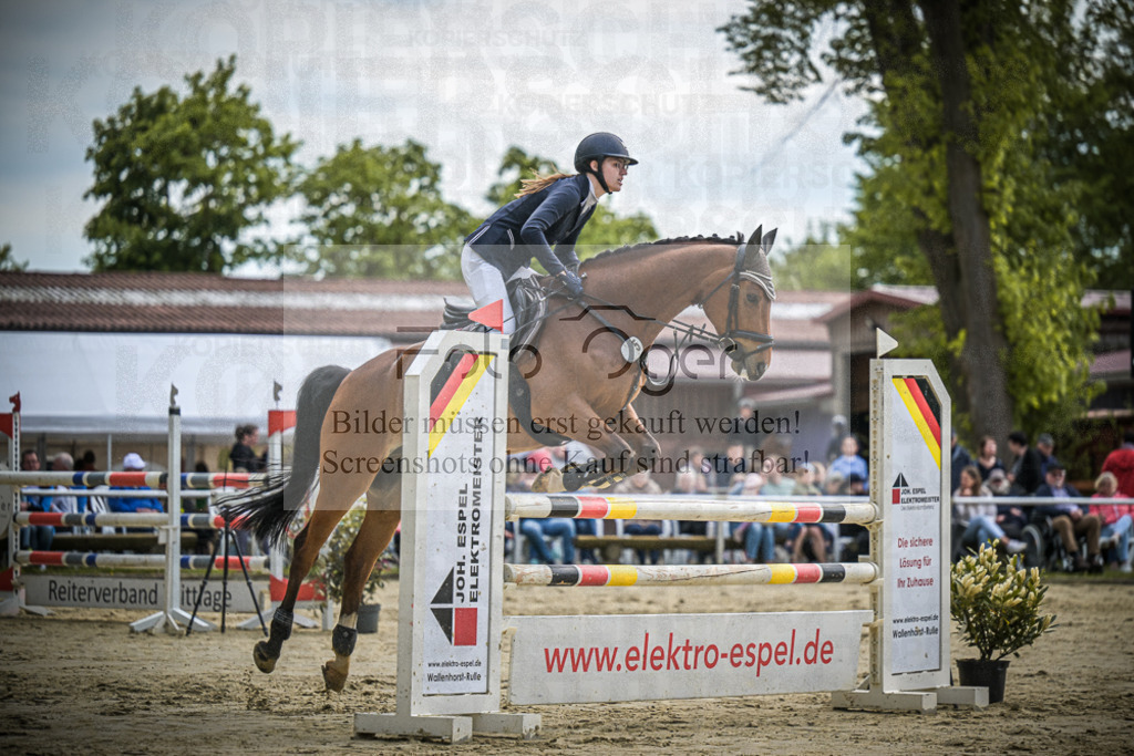 DOS_1816 | Entdecke hochwertige Reitturnierfotos von Foto Oger. Professionell, emotional und authentisch – jetzt Lieblingsmomente im Shop bestellen. - Realisiert mit Pictrs.com
