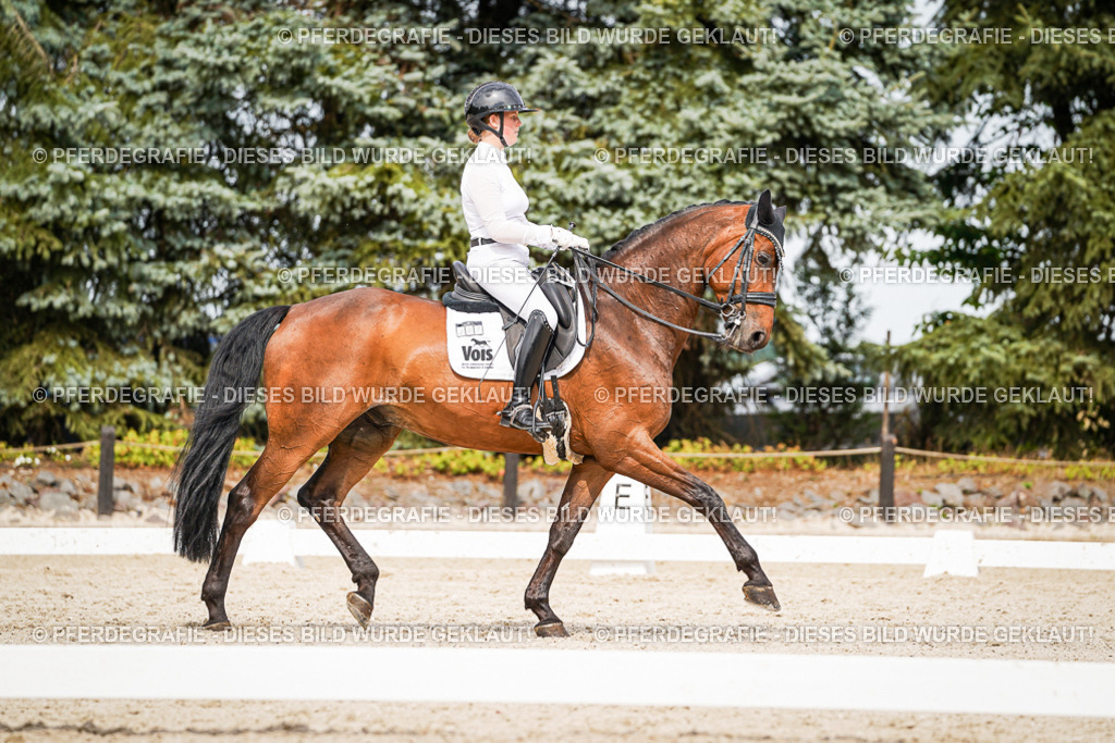 DSC06801 | Pferdegrafie