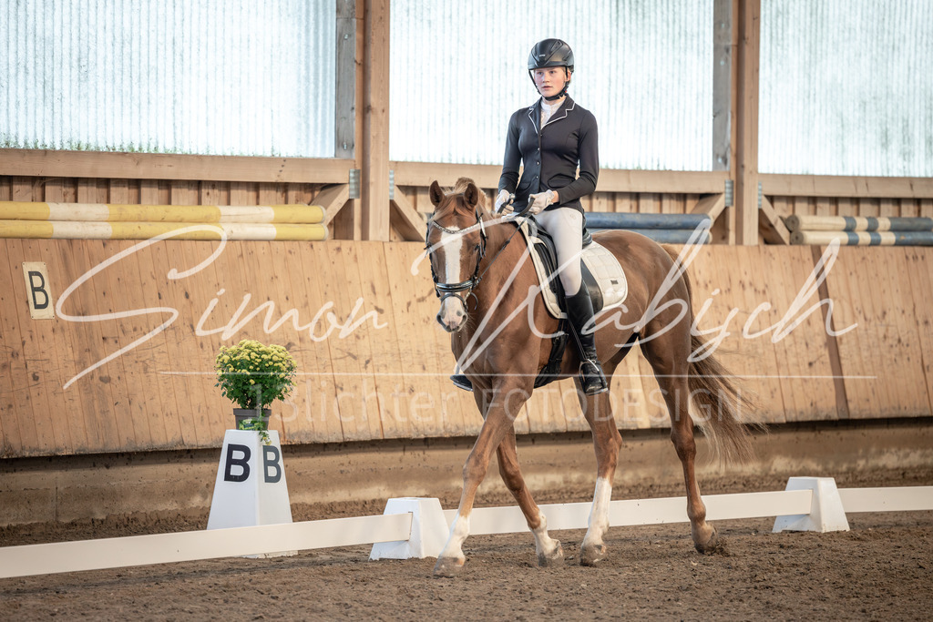 20251011-_3LI6997 | Tierfotografie Pferde, Hunde, Katzen, Haustiere.
Turnierfotografie Reitturniere, Reiten, Springreiten, Dressur in Hanau, dem Main-Kinzig-Kreis und dem Rhein-Main- Gebiet um Frankfurt