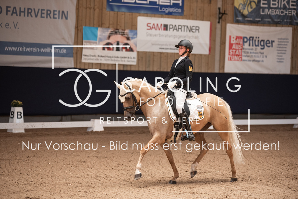 DSC_3232 | Carolin Gieschke