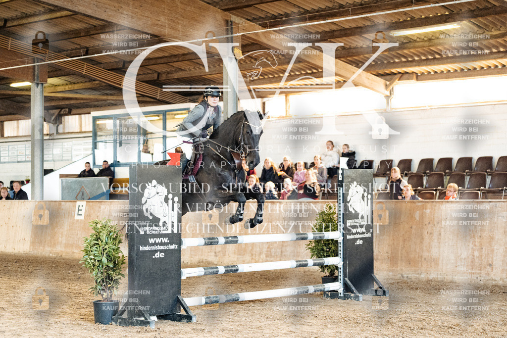 CK904906 | Turnierfotografie Pferdefotografie Trier Rheinland-Pfalz Pferdesport Reitsport Tierfotografie Sportfotografie Pferdevideo Pferdevideografie Equestrianvideography equestrianphotography  - Realisiert mit Pictrs.com