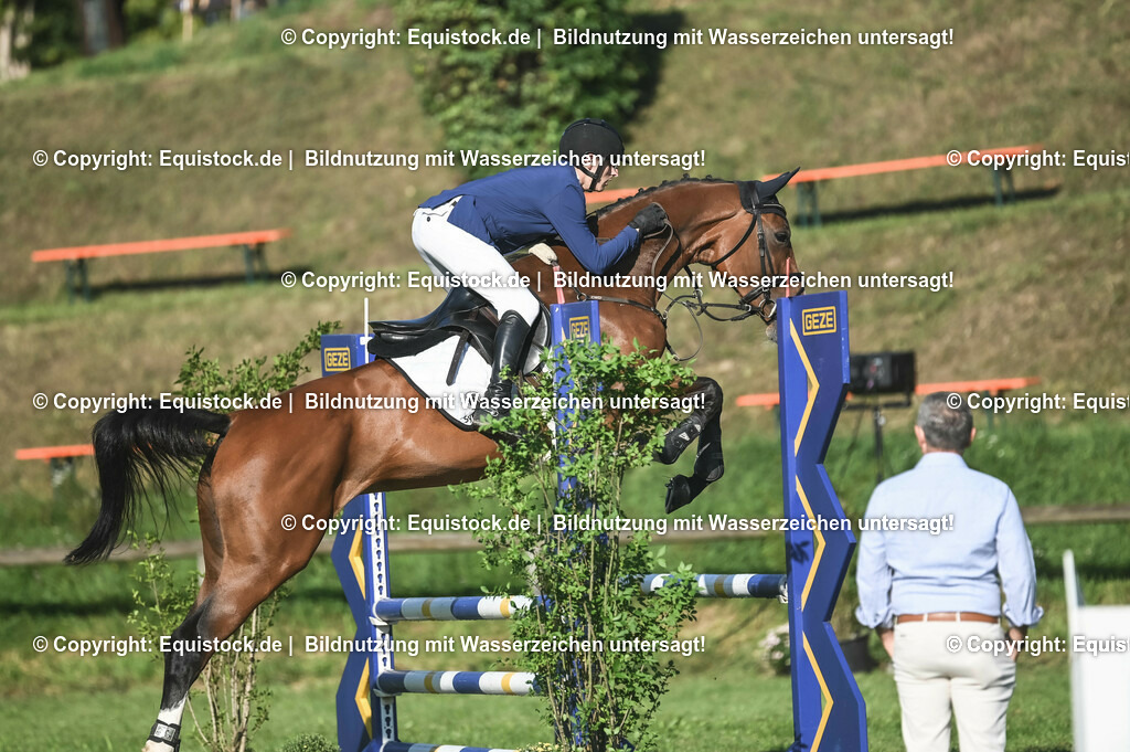 20230908_14-15_Springpferde-A_0058 | equistock