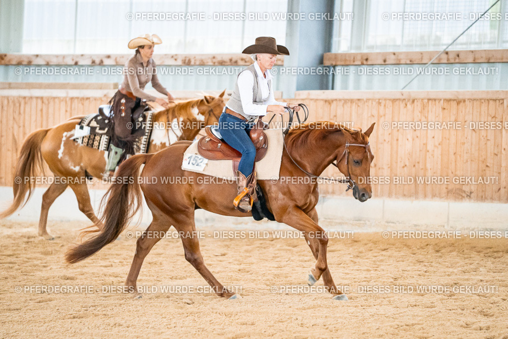 DSC00278 | Pferdegrafie