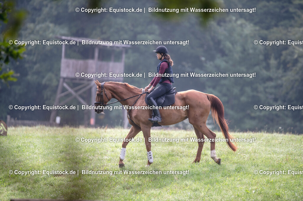 20250726_Vielseitigkeitslehrgang-Marbach_0016 | Foto: Thomas Hartig