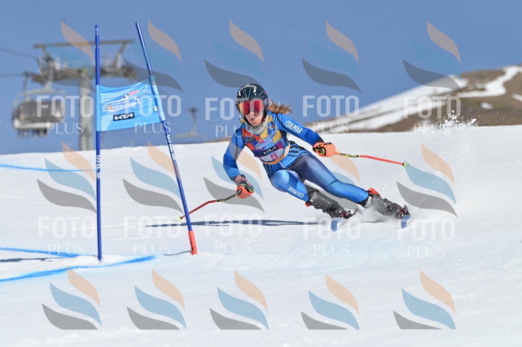 BGV_7650 | holidayphoto