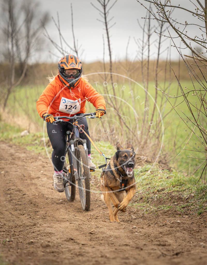 DV3A1041 | Hundefotografie, Tierfotograf, Pfotenfotografie, Fotoshooting Hund, Hunde Portrait, Hundesport, Hundeportraits, Heideshooting, Hunde, Sportfotograf, Hundefotograf, Turnierhundsport, THS,  - Realisiert mit Pictrs.com