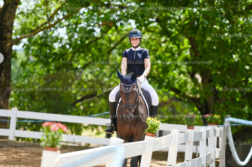 20230715_05_Dressurprüfung Kl.A++_0232 | equistock