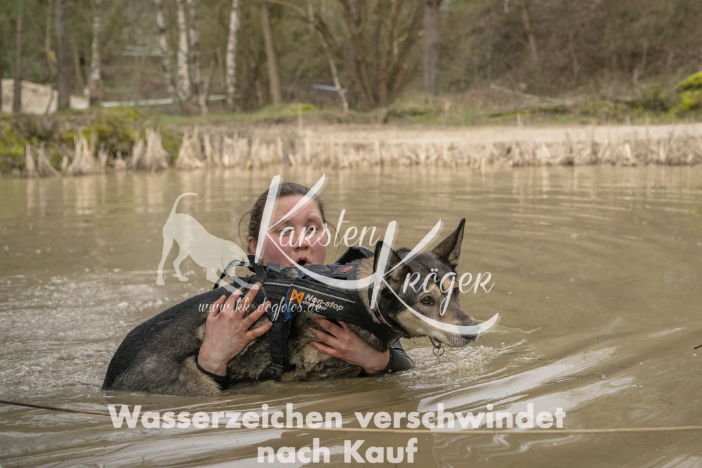 1038_ZZ93097-Bearbeitet | kk-dogfotos