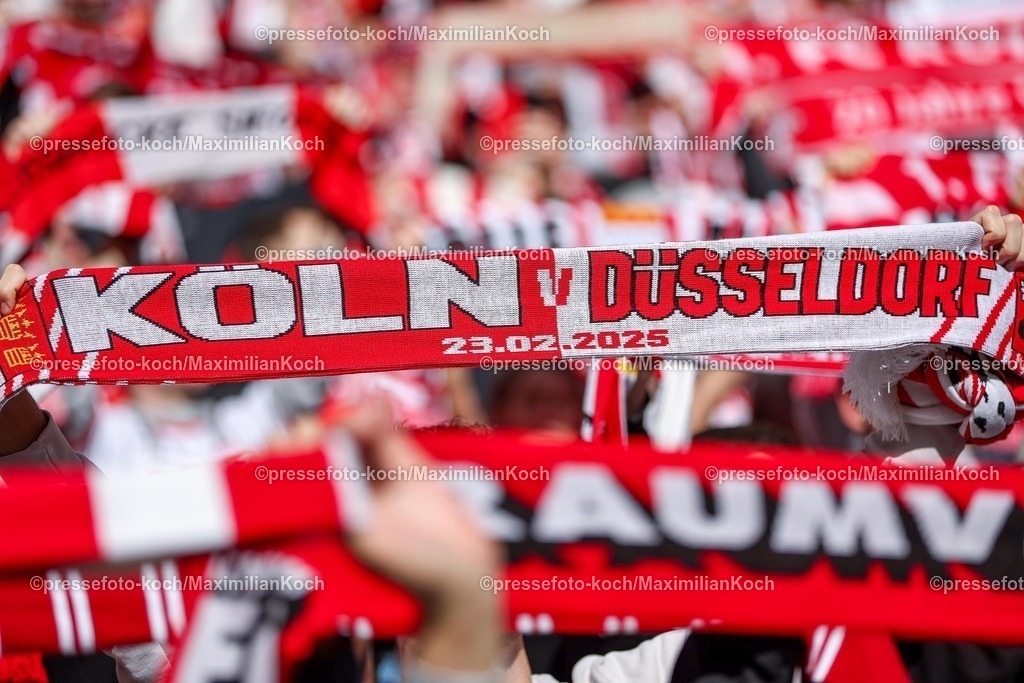 1FC23022502107 | 23.02.2025, Fußball, 1. FC Köln - Fortuna Düsseldorf, 2.. Fußball Bundesliga, 23. Spieltag, RheinEnergie-STADION, Saison 2024 2025: Feature Schalparade FC Köln Fanschal Fanschals Schal Sybolbild Fans Zuschauer Besucher Fan Detail Detailaufnahme Nahaufnahme Schriftzug Köln - DüsseldorfDFB regulations prohibit any use of photographs as image sequences and or quasi-video.
