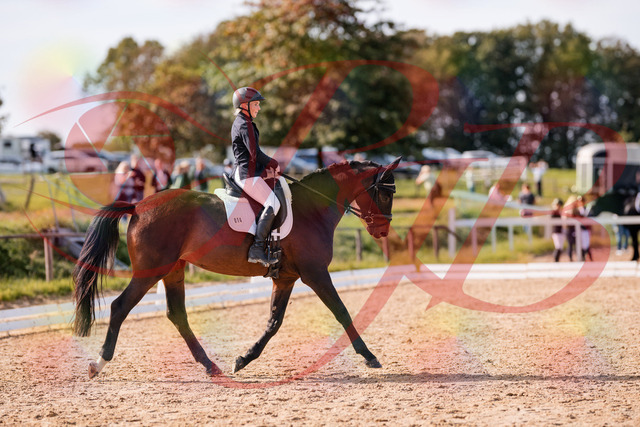 2026_10_03_Siefer-Hof_133825_Z81_96081749 | Professionelle Reitsport-, Turnier- und Eventfotografie von Robert Broda. Galerien mit ausgewählten und bearbeiteten Bildern direkt online ansehen und bestellen.