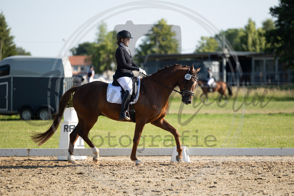 994A4023 | sabrinanicolaifotografie - Realisiert mit Pictrs.com