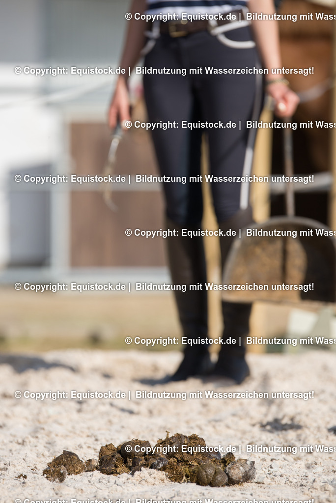 20160421_Reitplatzpflege_0001 | equistock