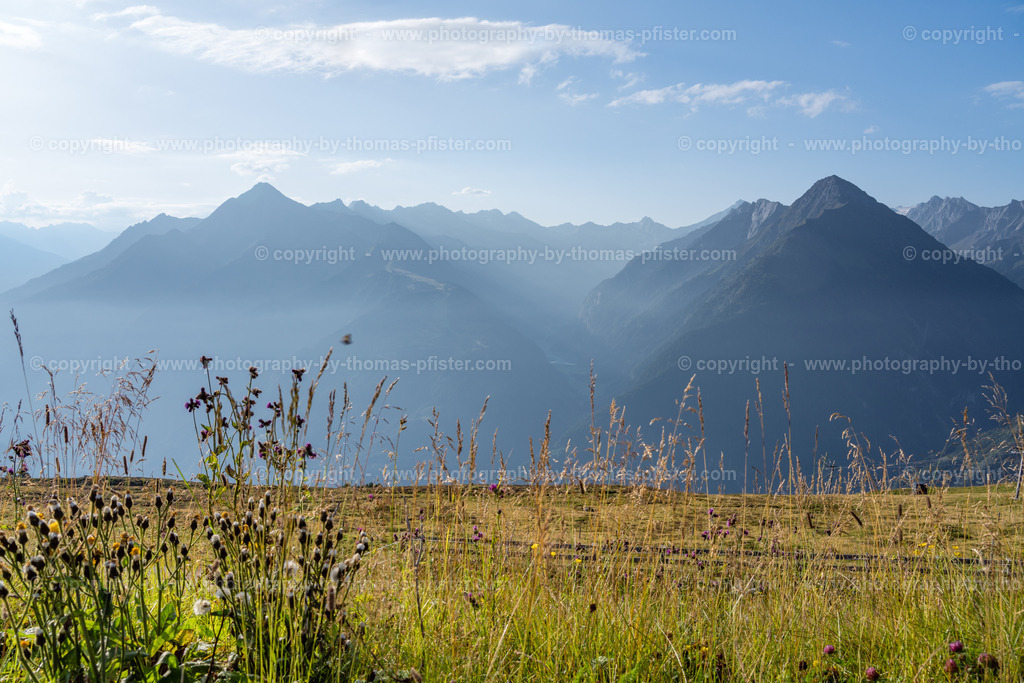 Penken Sommer copyright  Thomas Pfister-14 | PHOTOGRAPHY BY THOMAS PFISTER