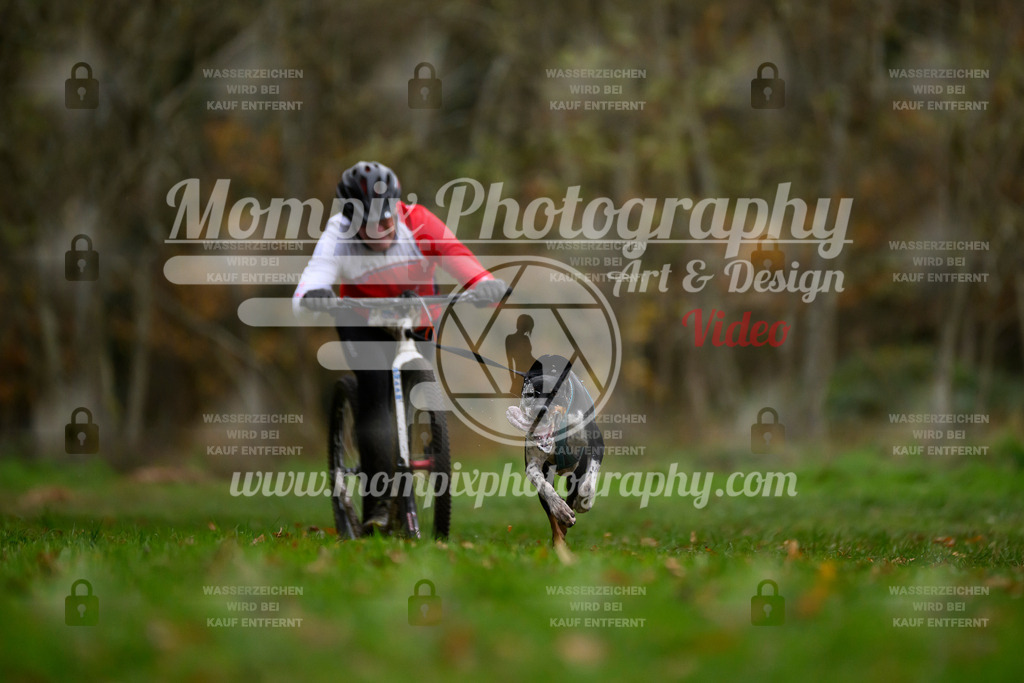 MompixPhotography_Bischwiller24_SA_DS1-21 | PayLife