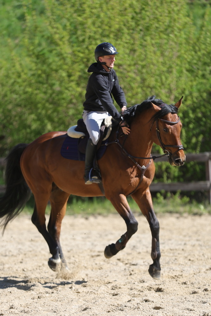 0P6A8126 | Willkommen bei Brunnmayr - Design & Fotografie – Ihrem Spezialisten für Reitturniere und Pferdeveranstaltungen in Oberösterreich, Salzburg und Bayern! Seit über 17 Jahren sind wir leidenschaftlich dabei.