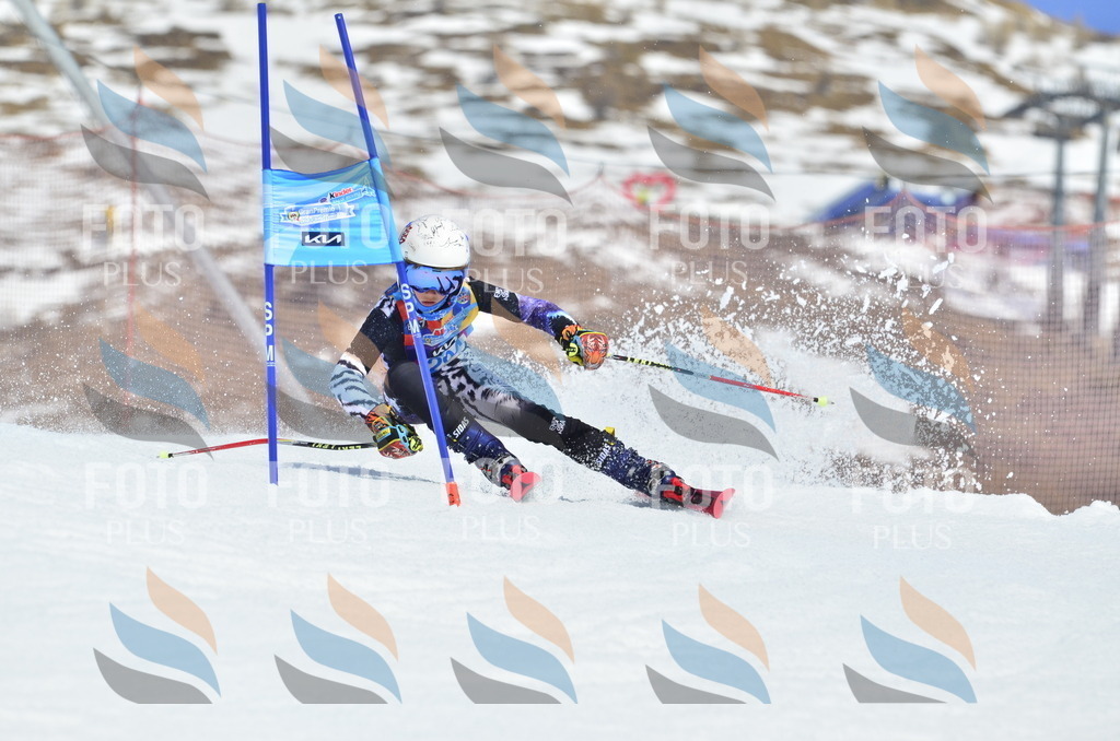 _ELE2097 | holidayphoto