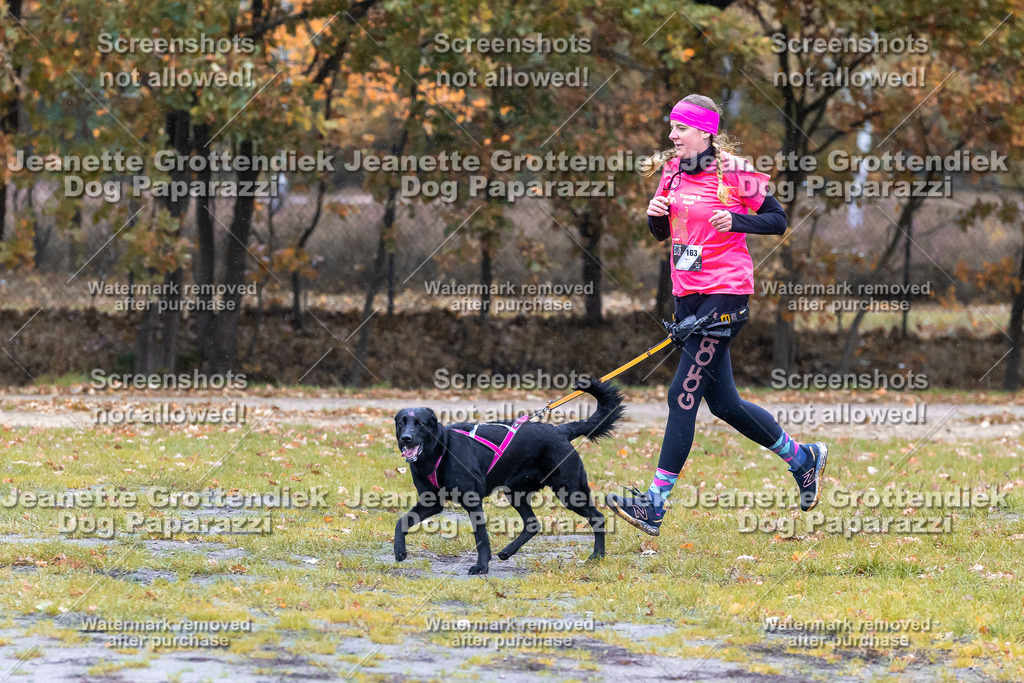 Dog Paparazzi - SD CaniX Championship 2025-791 | Dog Paparazzi Jeanette Grottendiek Fotografie & Videografie - Realisiert mit Pictrs.com