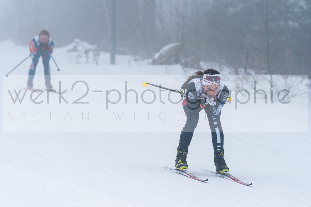 DSC Arber | Bayerischer Wald am 15. und 16. Januar 2022