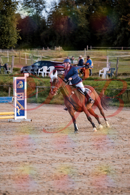 2026_10_03_Siefer-Hof_170358_Z81_00787217 | Professionelle Reitsport-, Turnier- und Eventfotografie von Robert Broda. Galerien mit ausgewählten und bearbeiteten Bildern direkt online ansehen und bestellen.