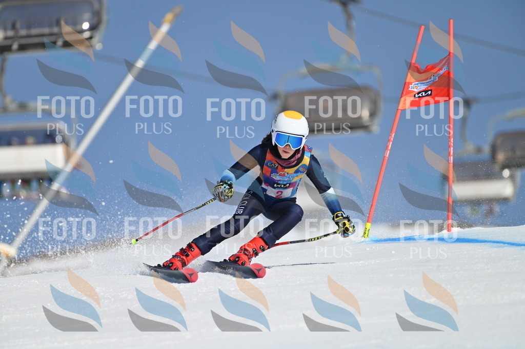 BGV_7595 | holidayphoto