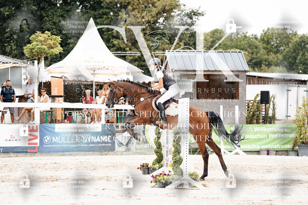 CK908529 | Turnierfotografie Pferdefotografie Trier Rheinland-Pfalz Pferdesport Reitsport Tierfotografie Sportfotografie Pferdevideo Pferdevideografie Equestrianvideography equestrianphotography  - Realisiert mit Pictrs.com