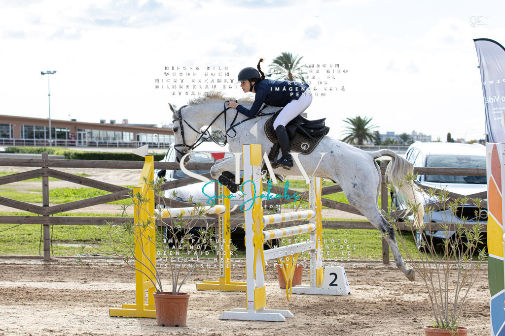 IMG_3562 | s-jay-photography - Realisiert mit Pictrs.com