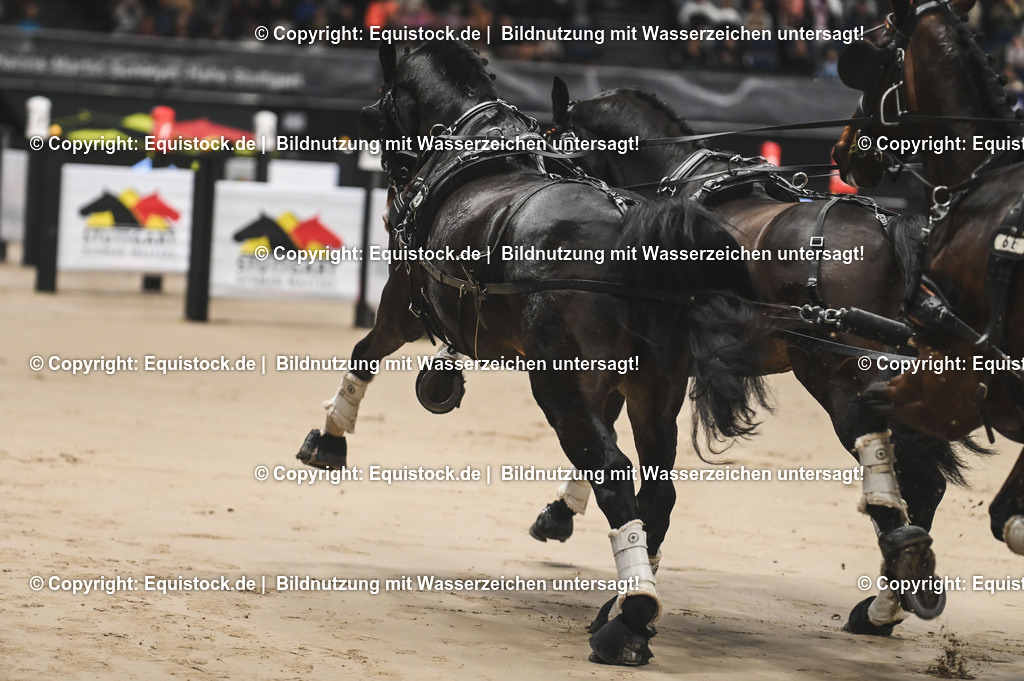 20241116_Fahren-Masterhorse_TOMsPiC_0009 | Foto: Thomas Hartig