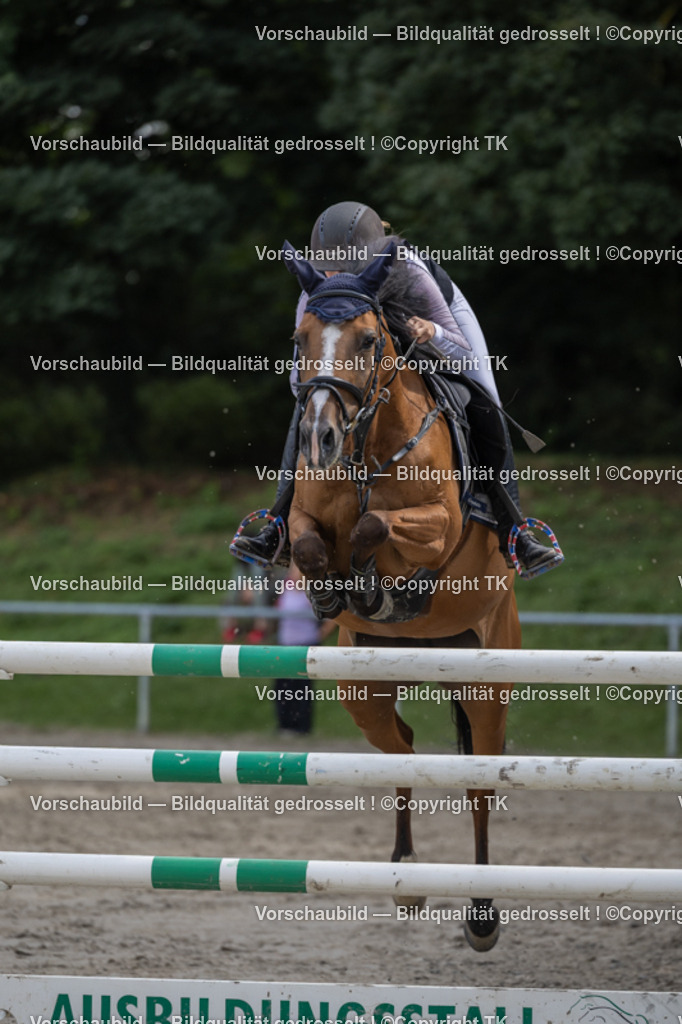 _D5A1557 | Emotionale Pferde- & People-Fotografie rund um Heidelberg, Leimen & Umgebung. Natürliche Fotos von Pferd, Mensch & Familie. Jetzt Termin sichern!