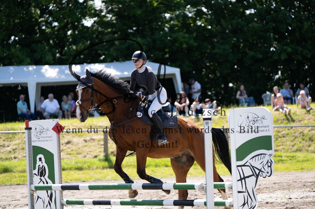 A7V03265 | Pferdefotograf