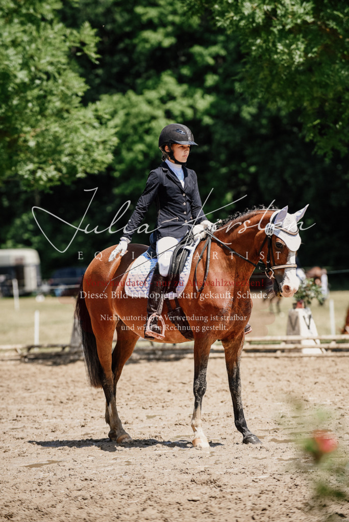 DSC_1912 | Pferde- und Turnierfotografie in Westsachsen. Pferdeportraits, Auftragszeichnungen und intuitive Kunst.