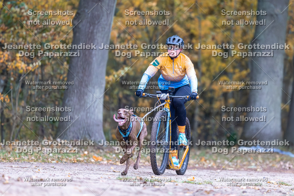 Dog Paparazzi - SD CaniX Championship 2025-23 | Dog Paparazzi Jeanette Grottendiek Fotografie & Videografie - Realisiert mit Pictrs.com