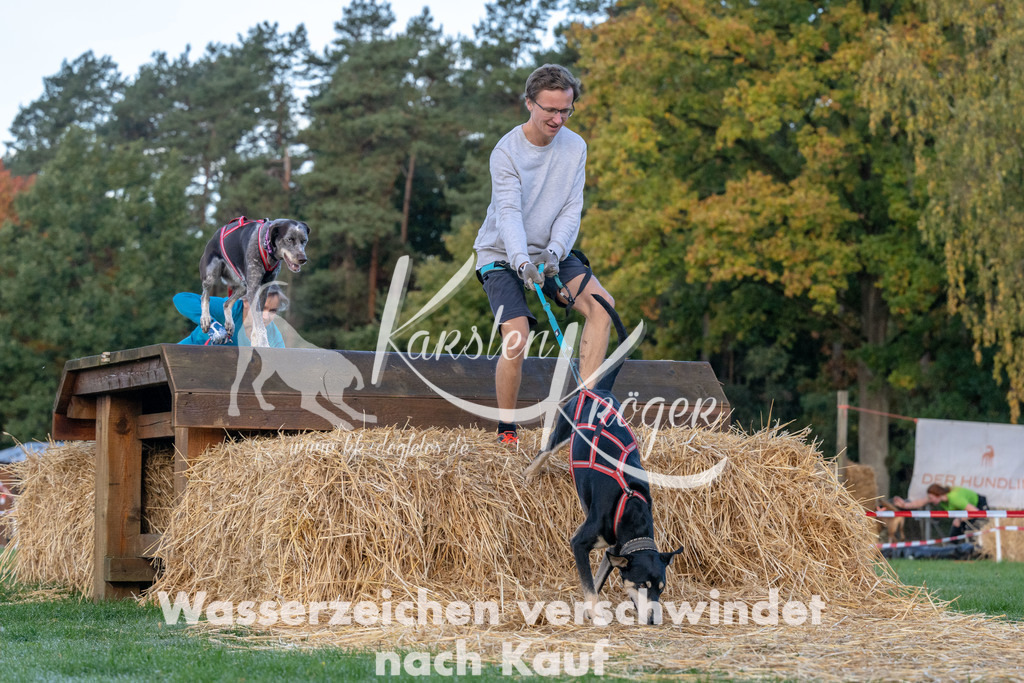 0848_ZZ91398 | kk-dogfotos