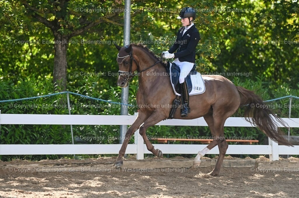 20230715_06_Dressurpferdeprfg. Kl.A_0436 | equistock