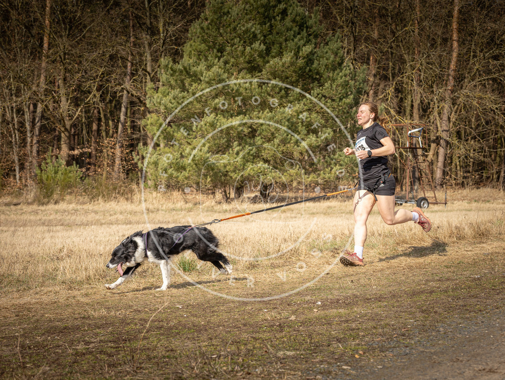 DV3A5726 | Hundefotografie, Tierfotograf, Pfotenfotografie, Fotoshooting Hund, Hunde Portrait, Hundesport, Hundeportraits, Heideshooting, Hunde, Sportfotograf, Hundefotograf, Turnierhundsport, THS,  - Realisiert mit Pictrs.com