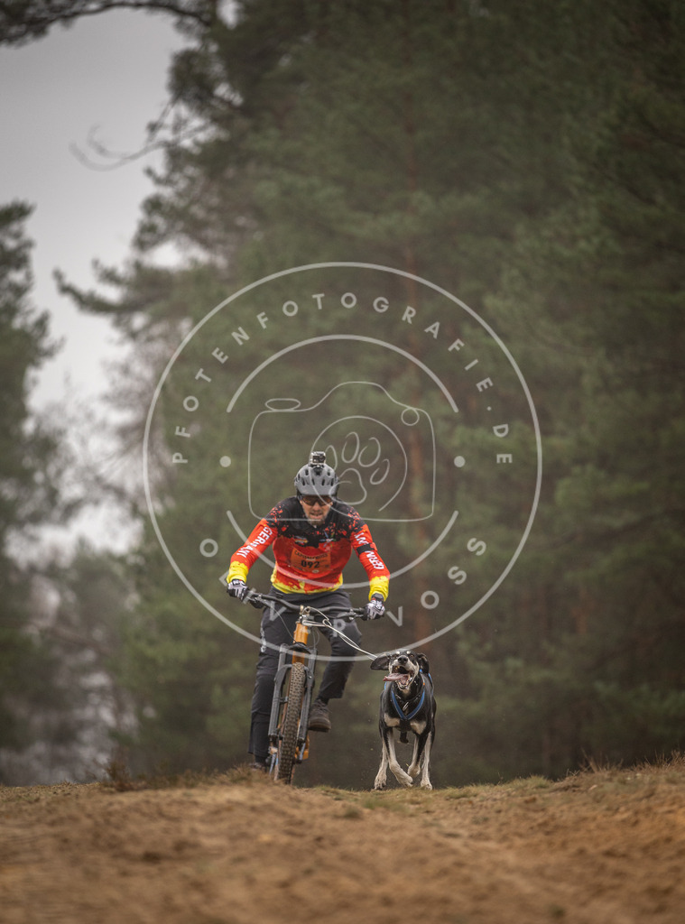 Pfotenfotografie_DV3A2967 | Hundefotografie, Tierfotograf, Pfotenfotografie, Fotoshooting Hund, Hunde Portrait, Hundesport, Hundeportraits, Heideshooting, Hunde, Sportfotograf, Hundefotograf, Turnierhundsport, THS,  - Realisiert mit Pictrs.com