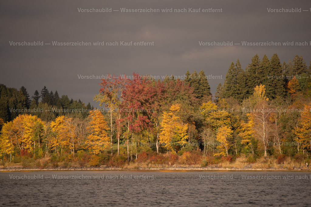 Herbstfarben am See | Ufer des Grüntensee im Alpenvorland Oktober 2025 - Realisiert mit Pictrs.com