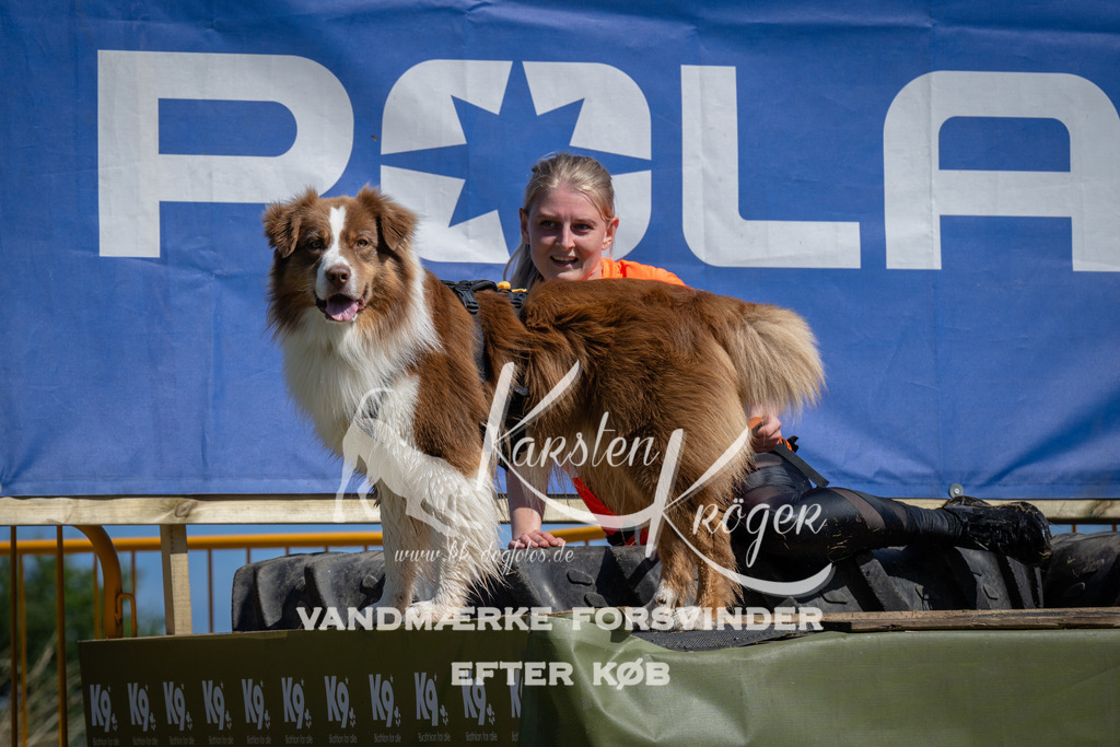 1159_ZZ93199 | kk-dogfotos