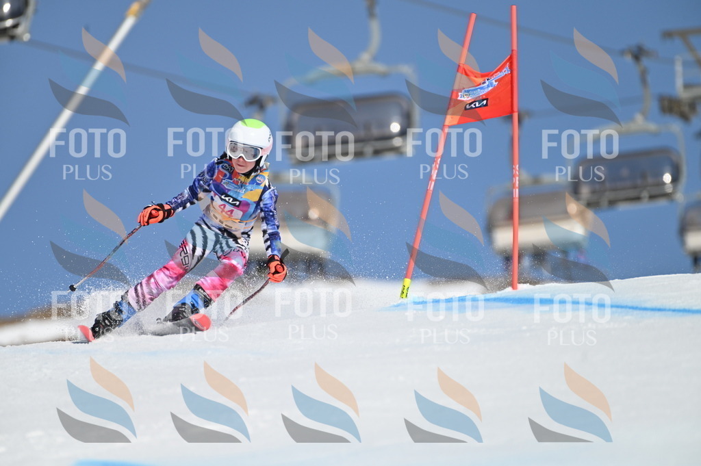 BGV_8418 | holidayphoto