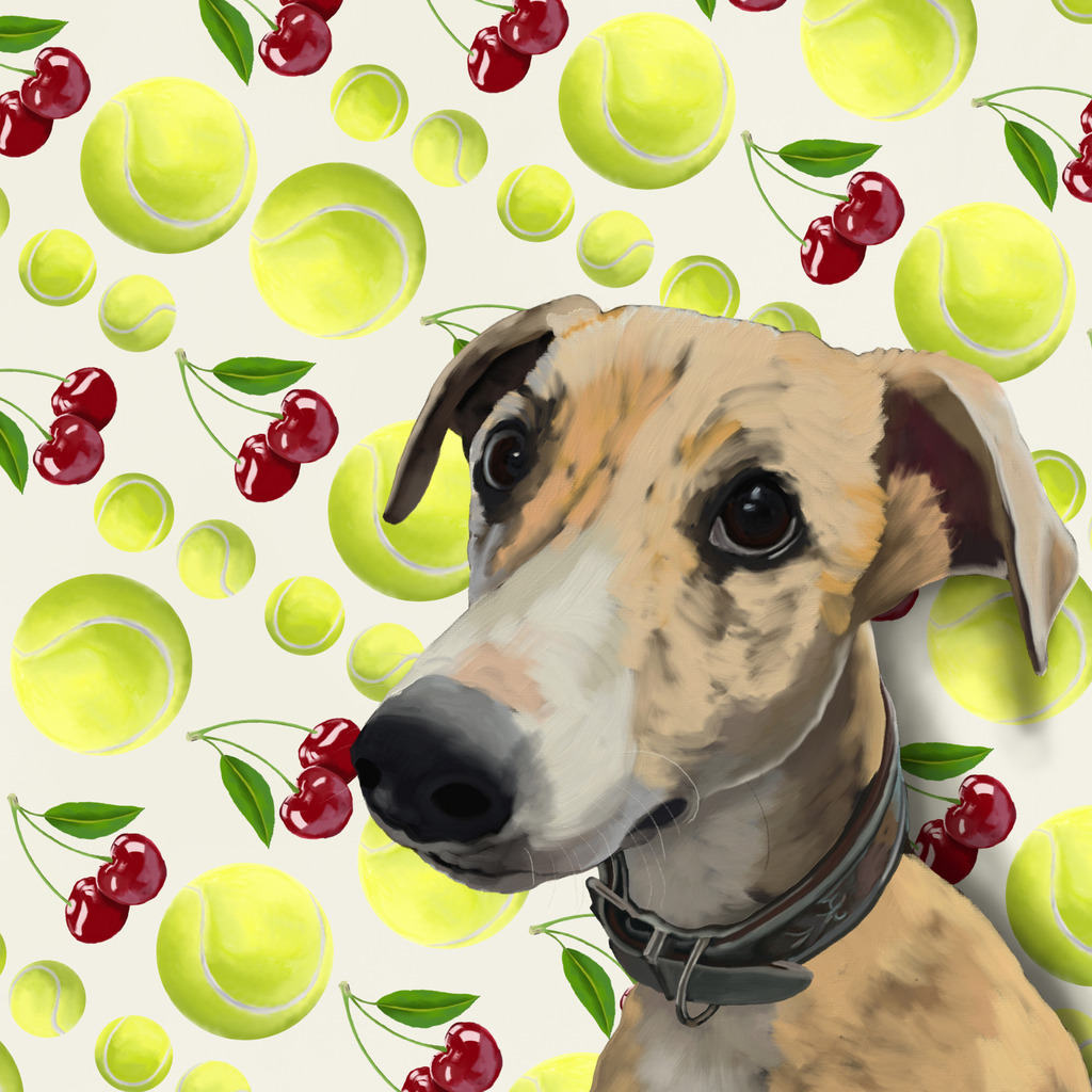 Whippet | Illustrationen, digitalpainting, animals, dogs, hunde, art, Kunst, Illustrationsart, Bielefeld, Germany - Realisiert mit Pictrs.com