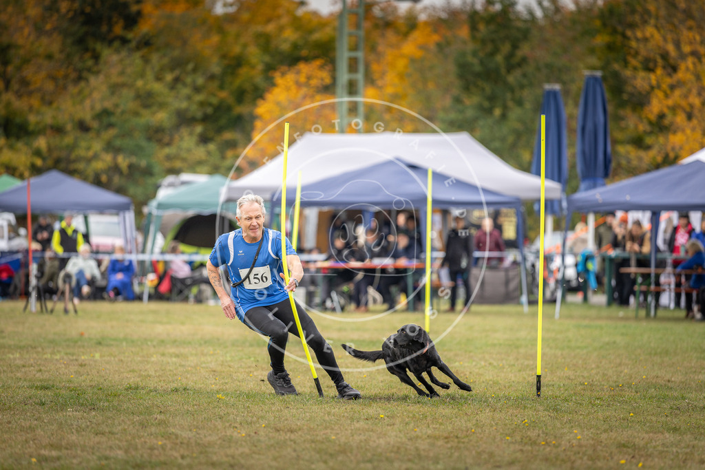 Pfotenfotografie_DV3A5683 | Hundefotografie, Tierfotograf, Pfotenfotografie, Fotoshooting Hund, Hunde Portrait, Hundesport, Hundeportraits, Heideshooting, Hunde, Sportfotograf, Hundefotograf, Turnierhundsport, THS,  - Realisiert mit Pictrs.com