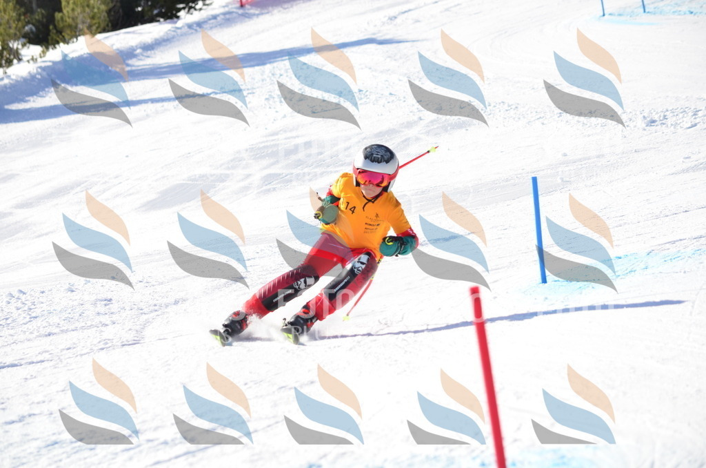 C6301 | holidayphoto