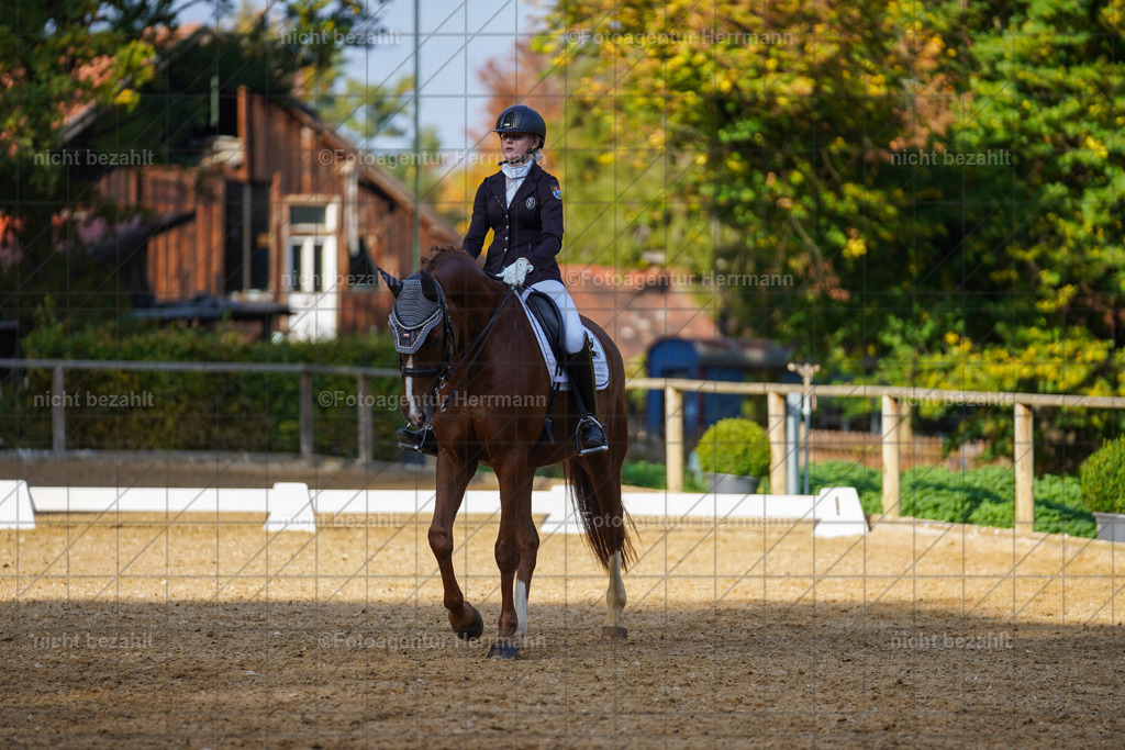 20221007-FAH00133 | Diessen am Ammersee, 2022, Dressur- und Springturnier, Reitsportbilder, Turnierfotografen Bayern, Pferdefotografen, Fotoagentur Herrmann, Turnierbilder