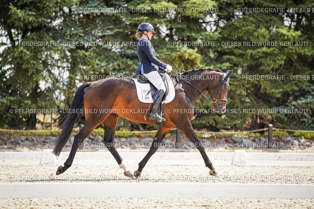 DSC09353 | Pferdegrafie