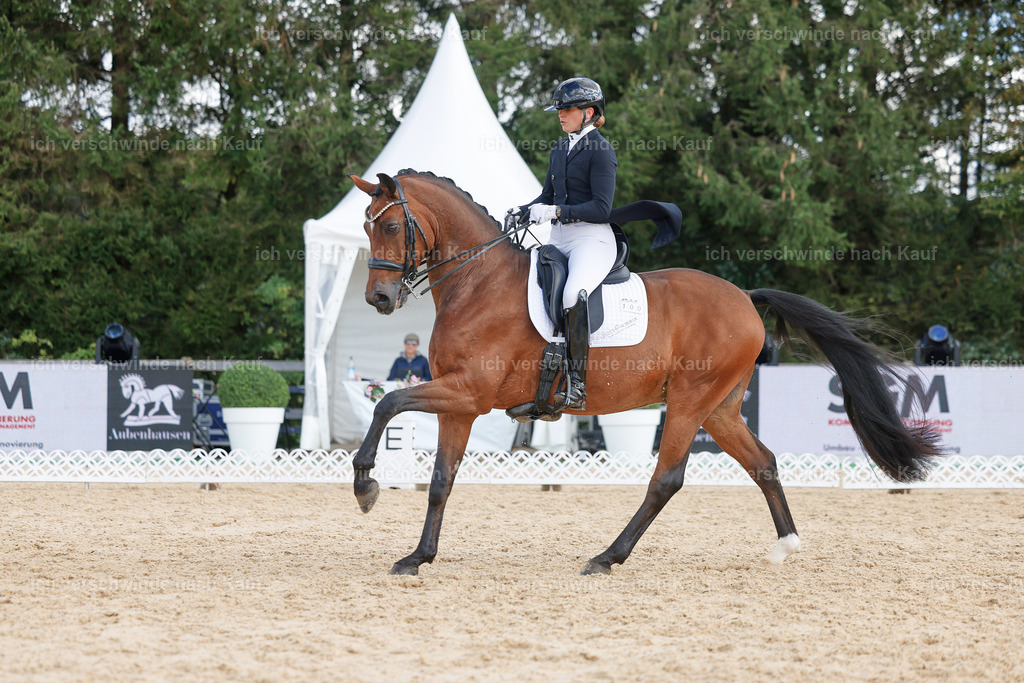 09_2-100-DRESSUR  S_  -StoibPH-5876 | working equitationturnier fotograf videograf stoibphotography marixx film working equitation deutschland reitsport turnierfotografie eventfotografie equestrian events